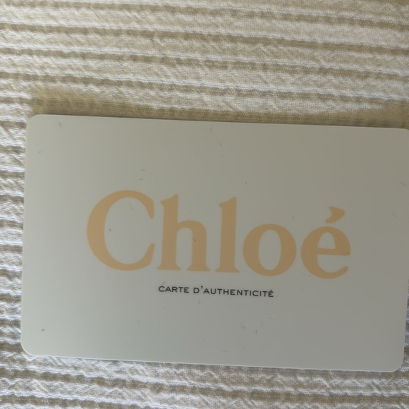 Chloe Faye Nano Bag - Picture 9 of 10